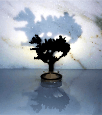 product-sub-image